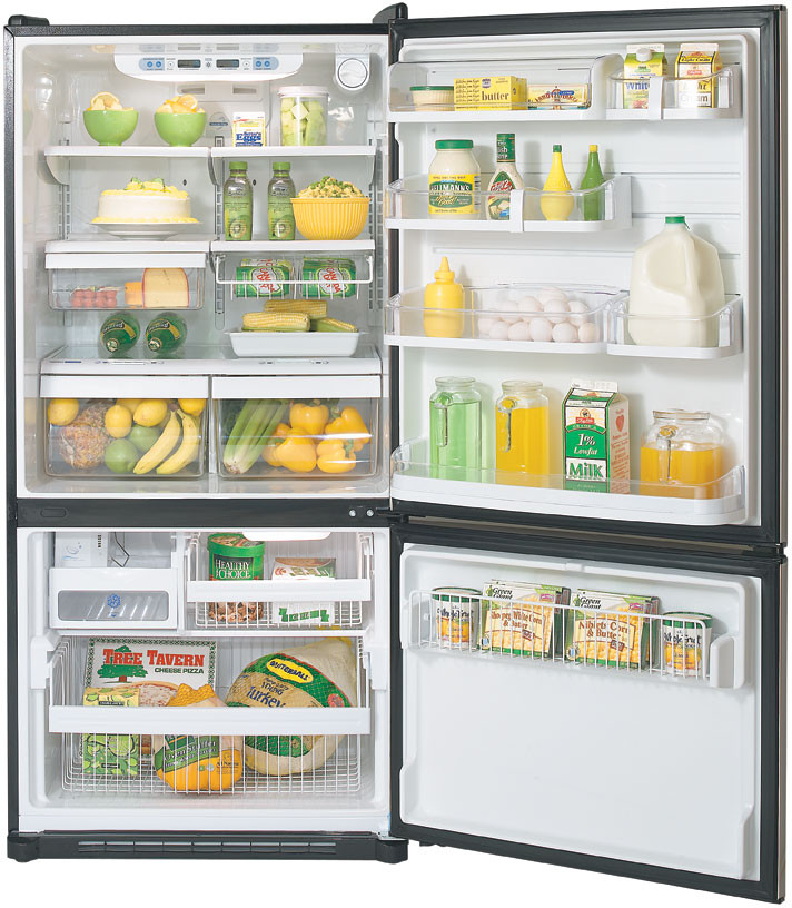 LG LRBC22544SB 22.4 Cu. Ft. Bottom Freezer Refrigerator with Swing Freezer  Door & External Water/Ice Dispenser: Smooth Black